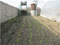 239d9b79-Picture cviće 3 122.jpg